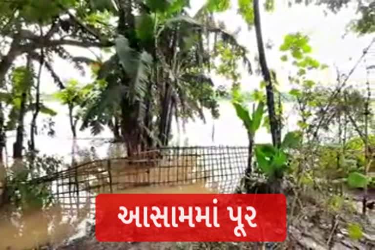 Etv Bharat, GUjarati News, Assam flood update