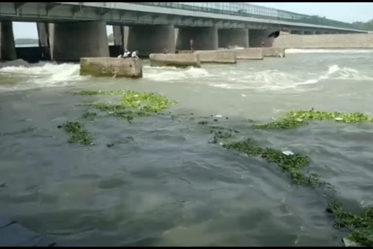 Three persons drown in Yamuna river in two separate incidents