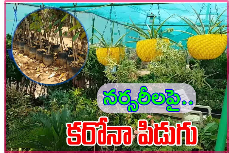 lock down Effect on nurseries in kadapa district