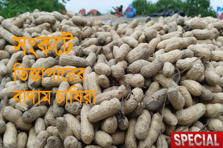 peanut farmers in crisis