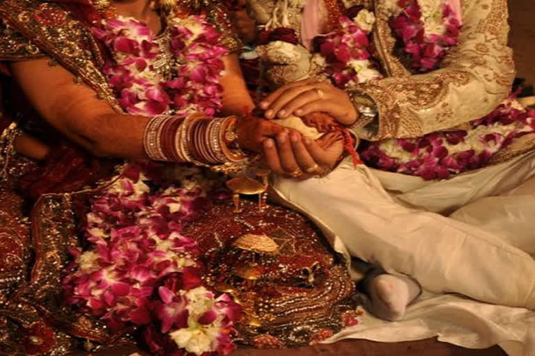 Family fined over lavish wedding