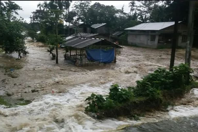 Flood Situation In Flood situation still grim in Assam, 20 dead and close to a million affectedAssam Worsens, 2 More Dead, Nearly 9.3 Lakh People Affected