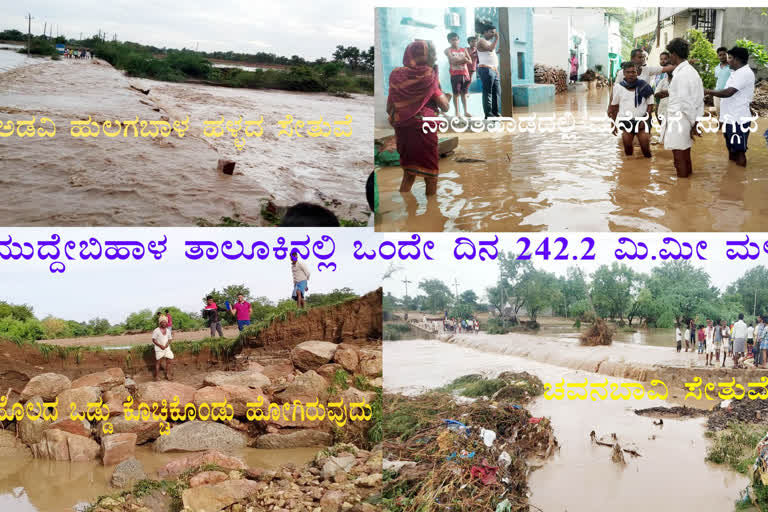 heavy rain in muddebihal taluk