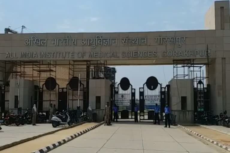 gorakhpur aiims