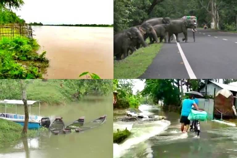 Flood situation still grim