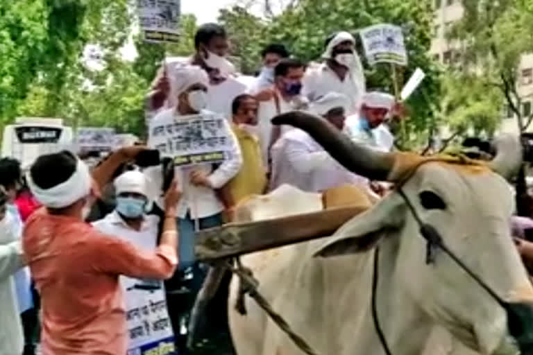 congress protest