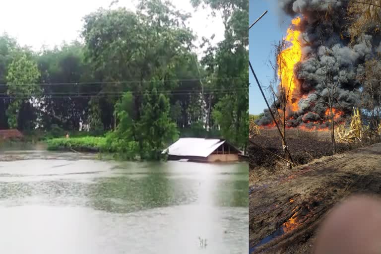 এফালে বানৰ ৰুদ্ৰমূৰ্তি আনফালে কোভিড আতংকঃ প্ৰকৃতিৰ ৰোষত ৰাজ্য