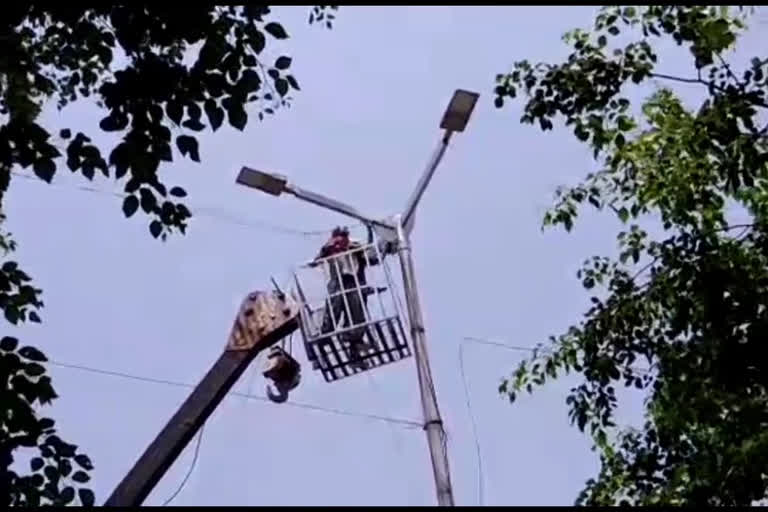 Electric poles are being painted before monsoon