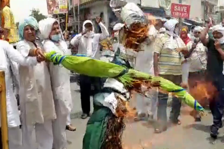 pti teachers burnt jjp leader naina chautala effigy in jhajjar