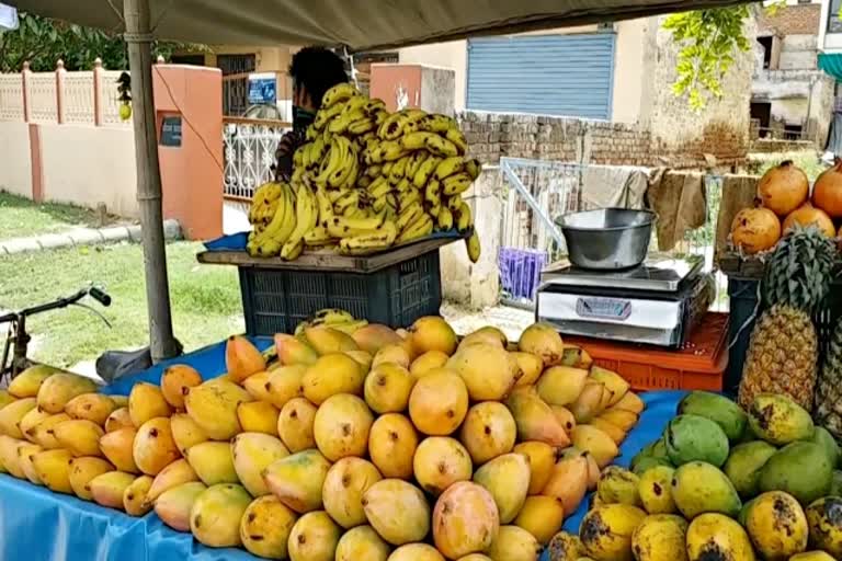 alwar news  alwar mandi news  mango in alwar mandi  mango arrivals increased alwar mandi  mango rate in alwar