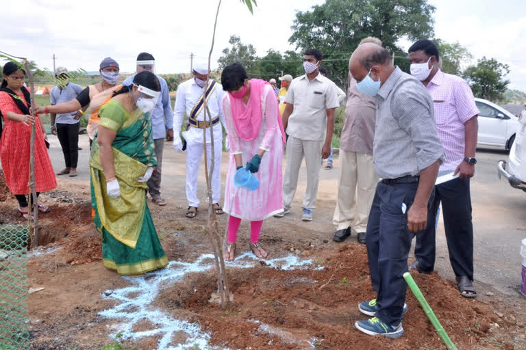 narayanapet collector and sp participated in harithaharam programme