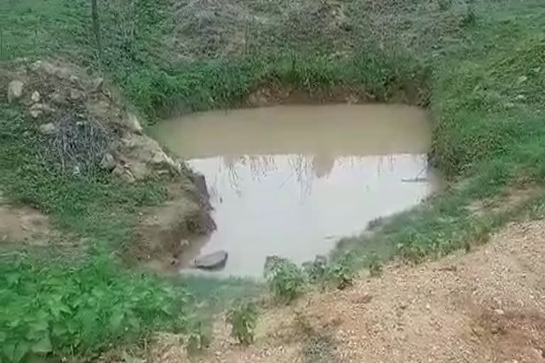 kawardha grandmother died in well