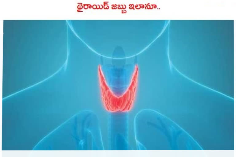 thyroid disease symptoms expalined