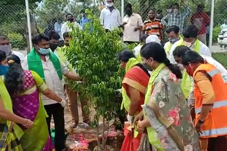 minister talasani participated haritha haram program at uppal in hyderabad