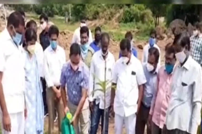 haritha haram program done by the karimnagar collector shashanka