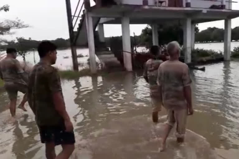 বানৰ কৱলত লাওখোৱা বন্যপ্ৰাণী অভয়াৰণ্যৰ ৭০ শতাংশ অঞ্চল