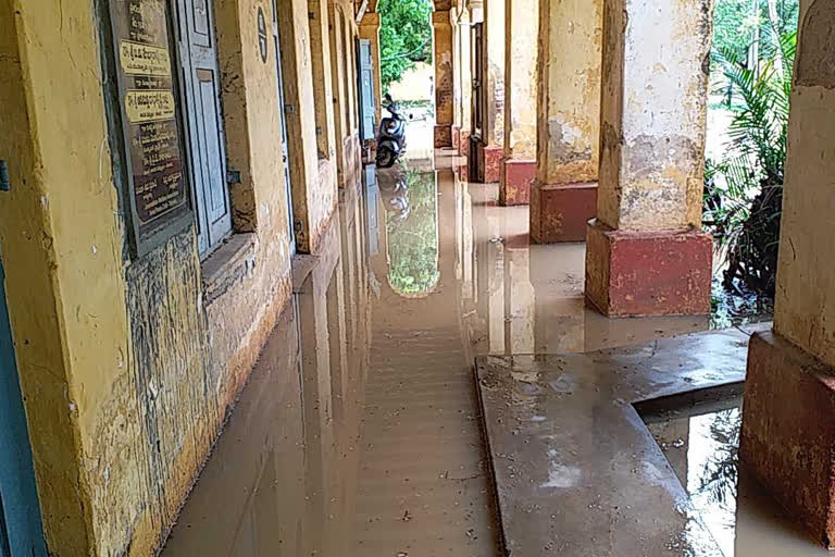 heavy rains in tanuku