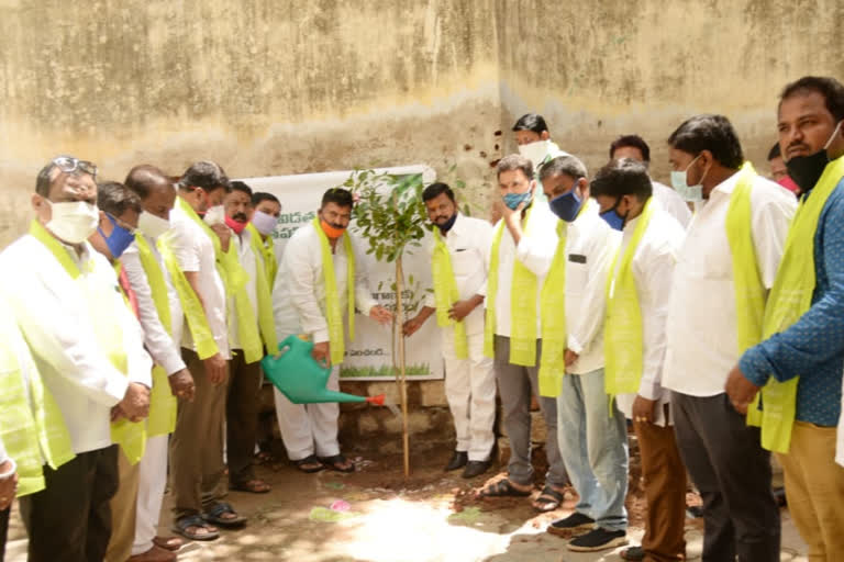 musheerabad mla muta gopal planted saplings