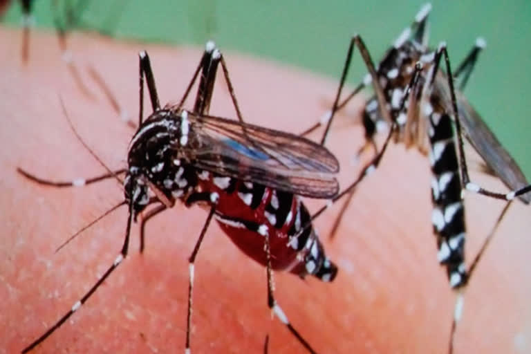 nuh district administration ready to tackle dengue