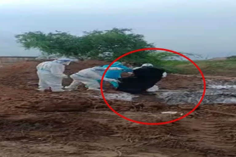 Video on dumping of COVID-19 victims' bodies in Karnataka triggers outrage