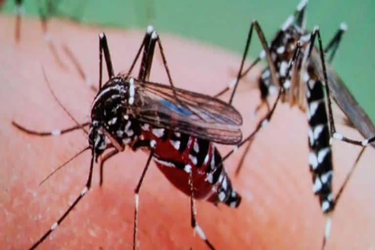 nuh district administration ready to tackle dengue