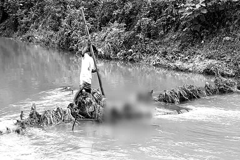 Deadbody recovered in a river of kokrajhar assam etv bharat news