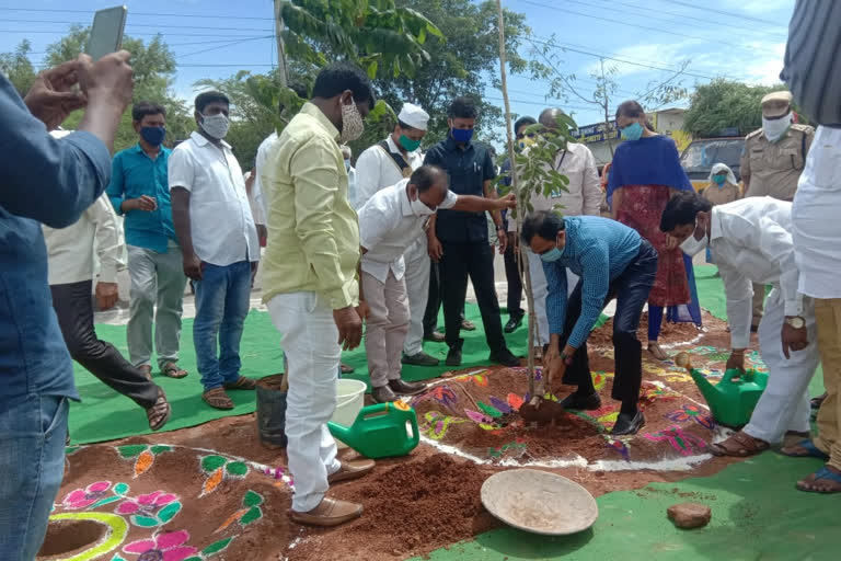 medchal collector planted saplings under harithaharam program