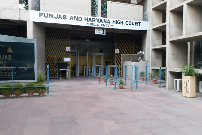 punjab haryana high court