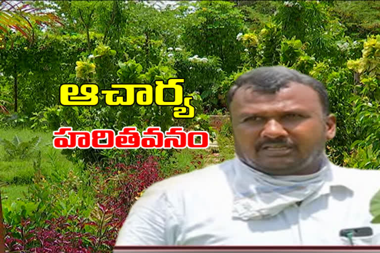 a lecturer made botanical garden in 10 months in mahabubnagar district