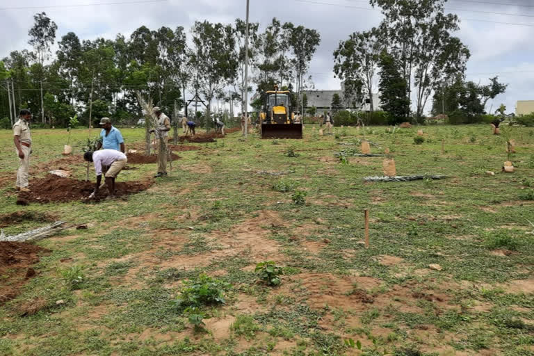 Forest land clearance