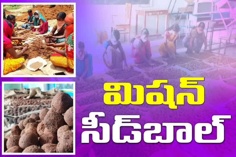 one crore seed balls made in mahabubnagar district