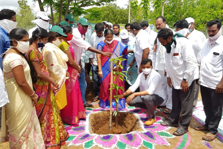 thumgathurthy mla gadari kishore kumar participated in harithaharam programme in suryapet district