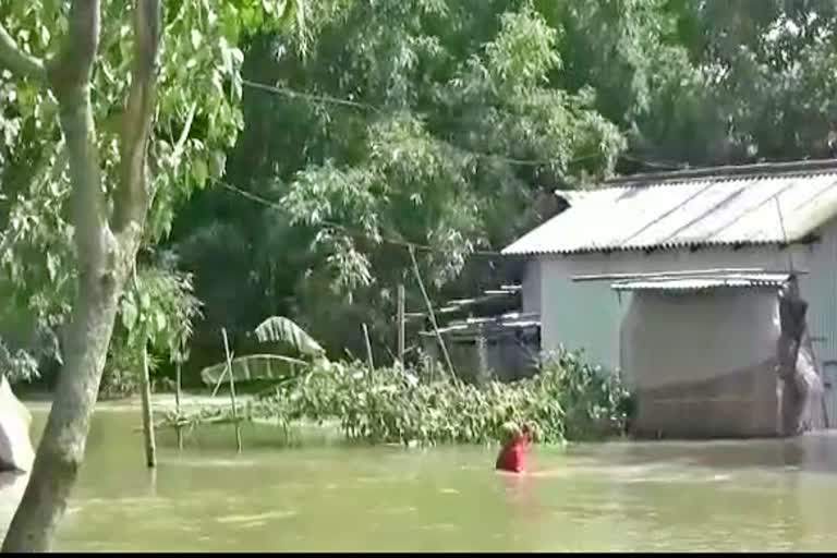 Member of Zilla Parishad to inspect the flood situation in Sarukshetri Barpeta etv bharat news