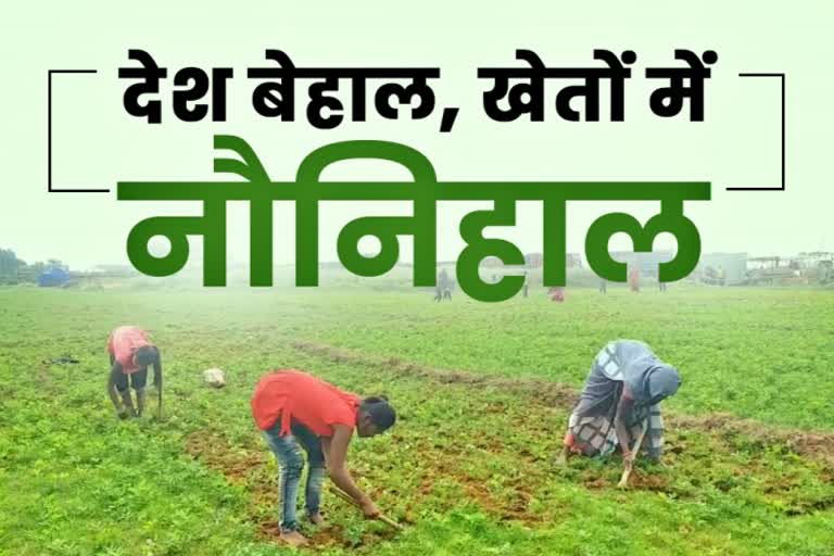 students ploughing field