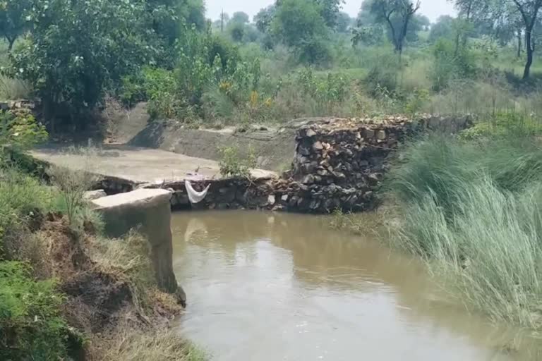 Farmers upset due to breaking of Murhi Nala dam in palamu