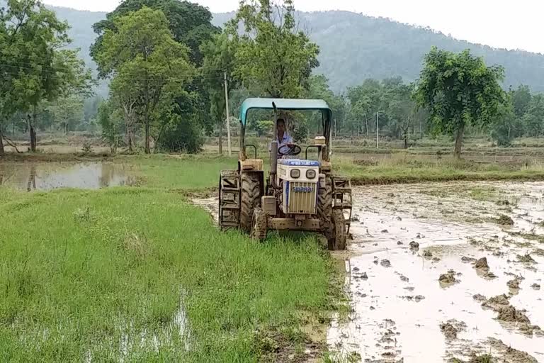 Farmers are not getting fertilizer