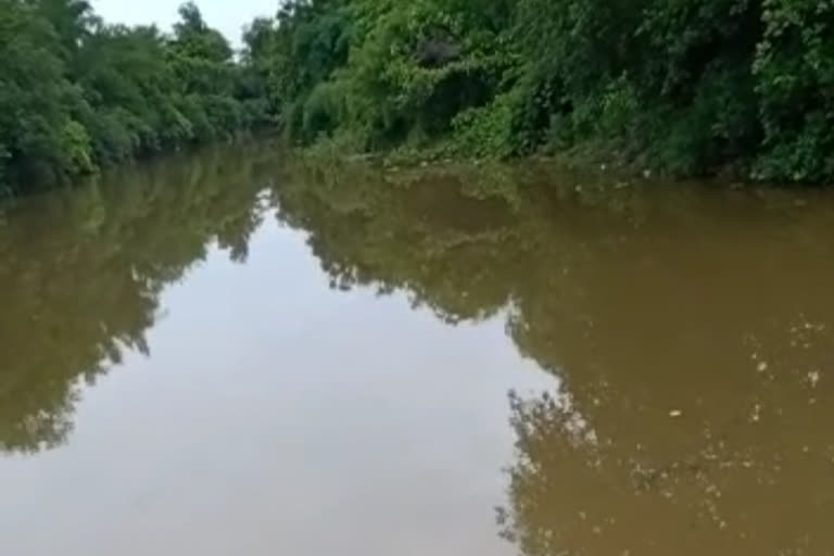 Two brothers died due to drowning in the river