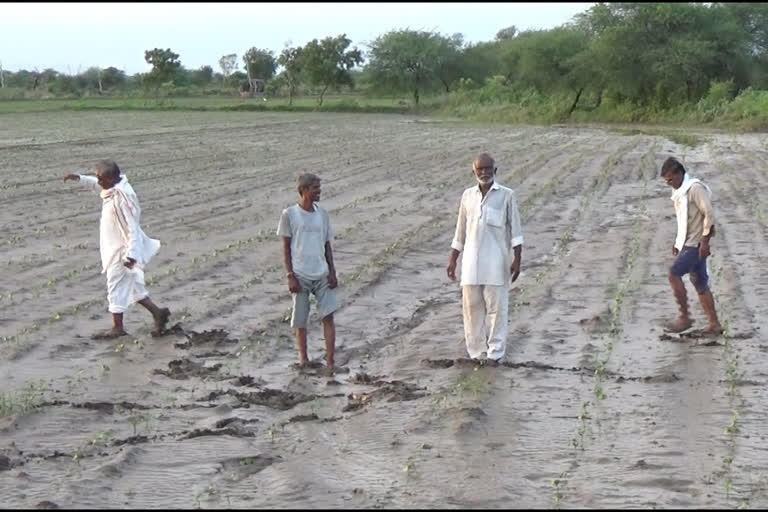 सामूहिक आत्महत्येचा इशारा..