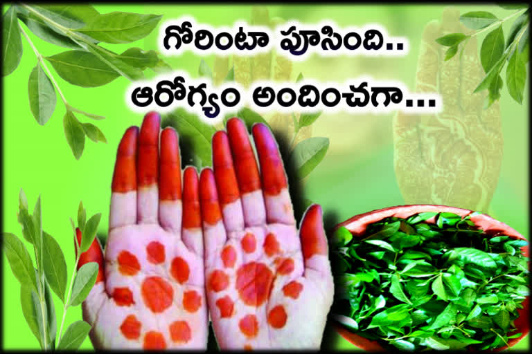 the  benefits of applying mehandi or gorntaku on palms and foot