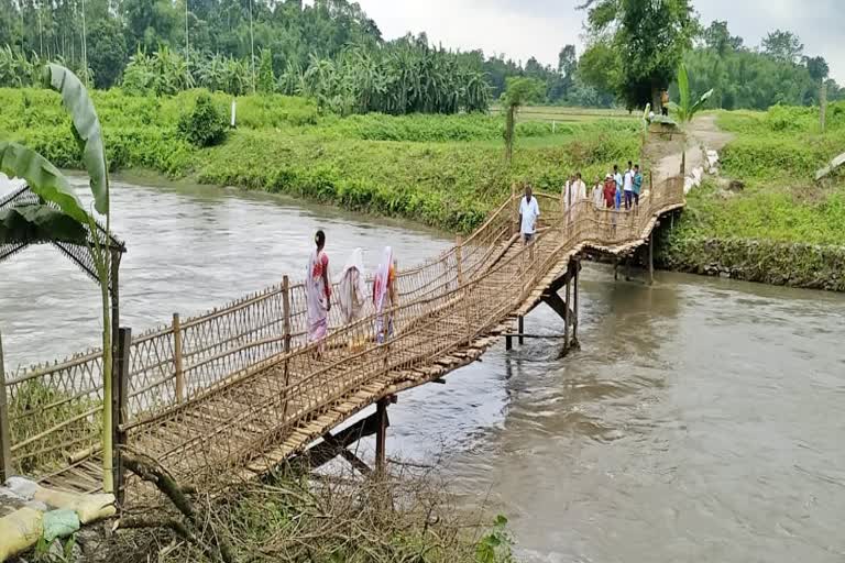 A true picture of development assam bamboo bridge innuguration in misamari sonitpur assam etv bharat news