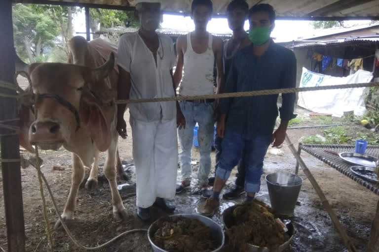 35 Kg plastic, coins, wires removed from cow's stomach in Maharashtra