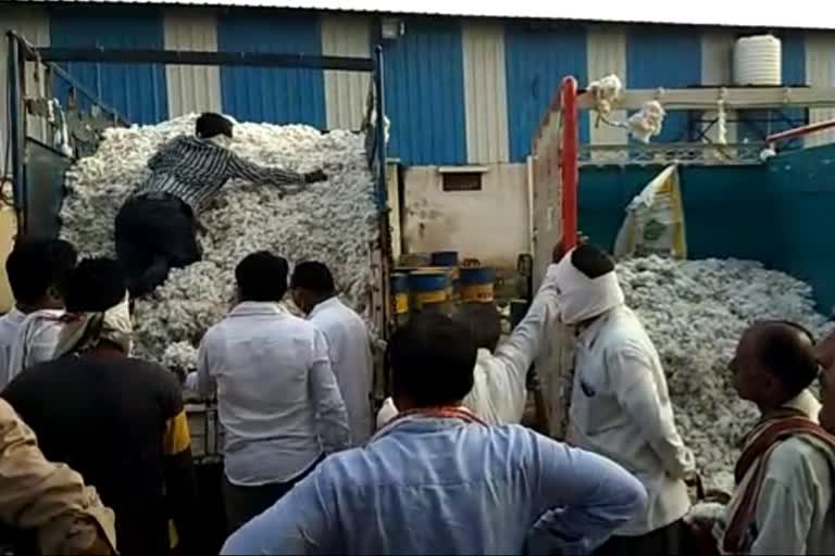 cheating with Farmers in buying cotton