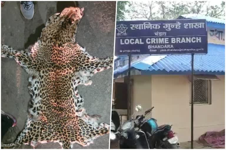 Trying to sell leopard skin
