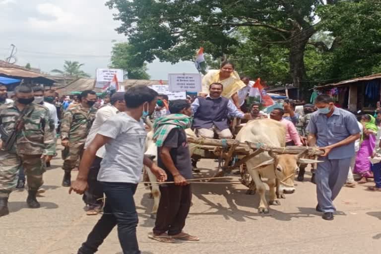 Madhu Koda drove the bullock cart in chaibasa