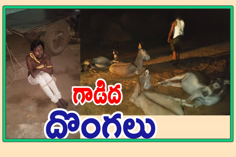 Donkey robbers are arrested at mopidi village, ananthapur district