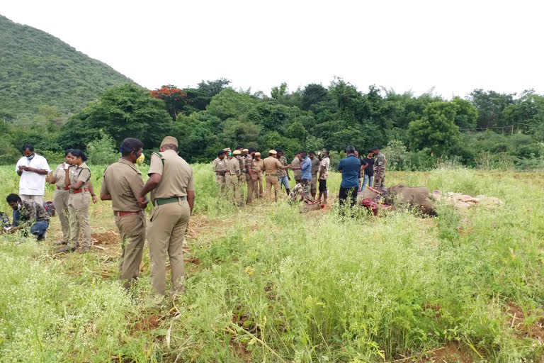 Two elephants found dead in Coimbatore, one due to gun