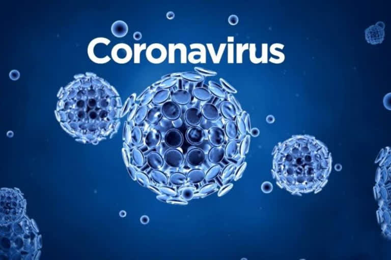 coronavirus positive in kangra