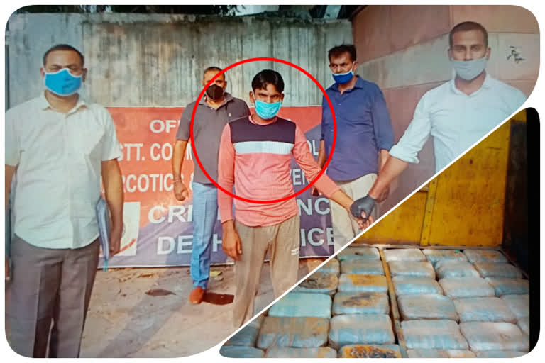 Crime branch narcotics cell arrested a driver with 500 kg hemp from ghazipur