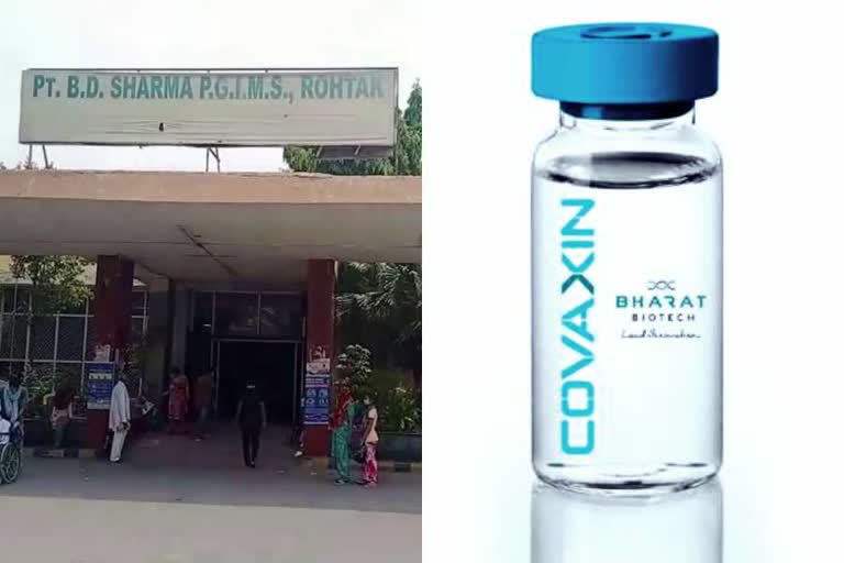 covaxin human trial rohtak pgi,  corona vaccine trial