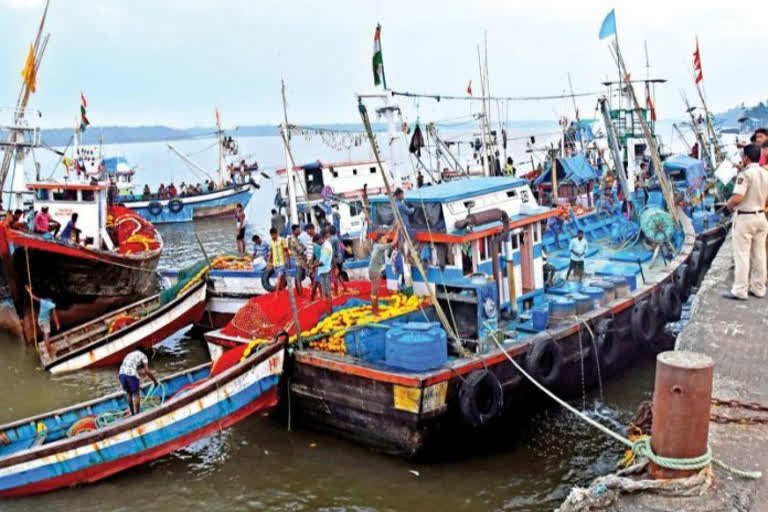 fisheries commissioner order sindhudurg  sindhudurg latest news  सिंधुदुर्ग लेटेस्ट न्यूज  पर्ससीन मच्छीमार लेटेस्ट न्यूज  सिंधुदुर्ग मासेमारी न्यूज  sindhudurg fisheries news